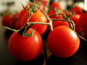 Kaip auginti pomidorus