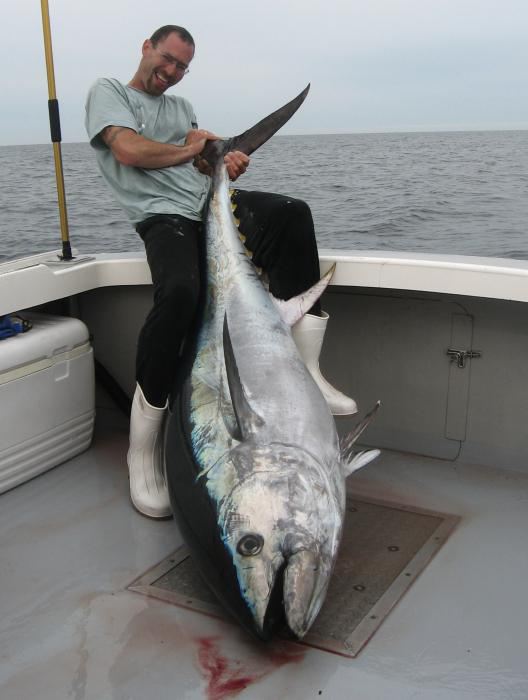 Brangiausia žuvis pasaulyje yra tunai