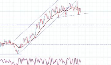 forex capital management