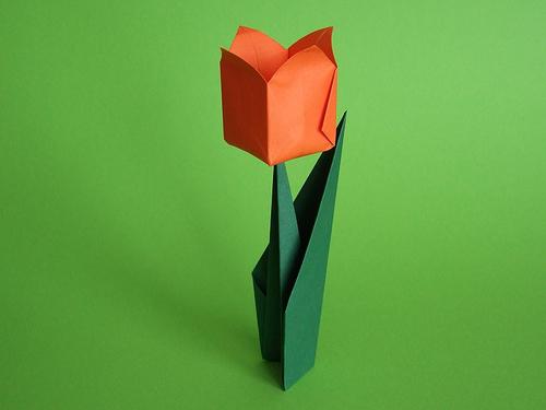 origami tulpės