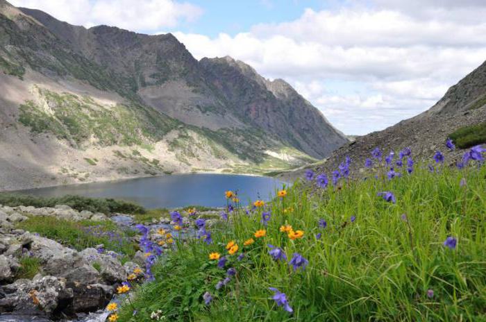 Baikal-Lena valstybinis gamtos draustinis: įdomūs faktai, nuotrauka. Flora ir fauna Baikal-Lenskio rezervato