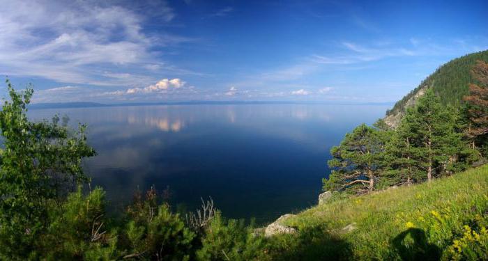 nuotrauka Baikalo floros