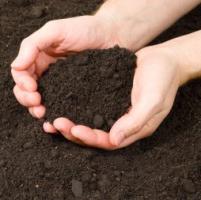 Ką sudaro dirvožemis? Sužinokite apie dirvožemio sudėtį