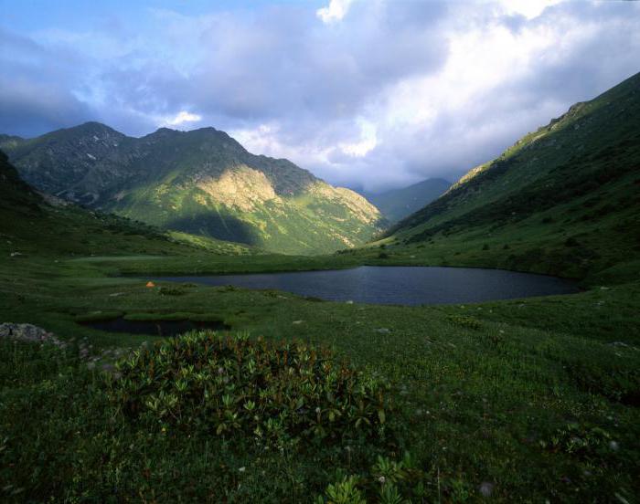 Kaukazo valstybinis gamtos biosferos rezervatas, pavadintas Šapošnikovo
