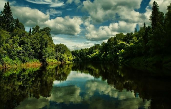 Juganų laukinės gamtos draustinis