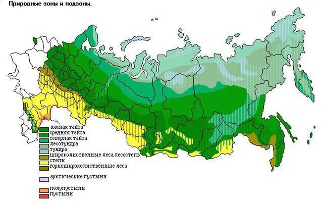 Stebės geografinė padėtis: pagrindinės savybės