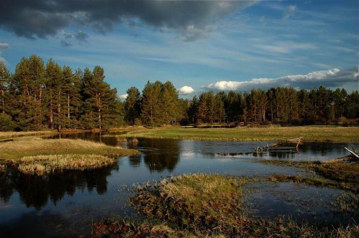 Riazanės regiono atostogos su vaikais