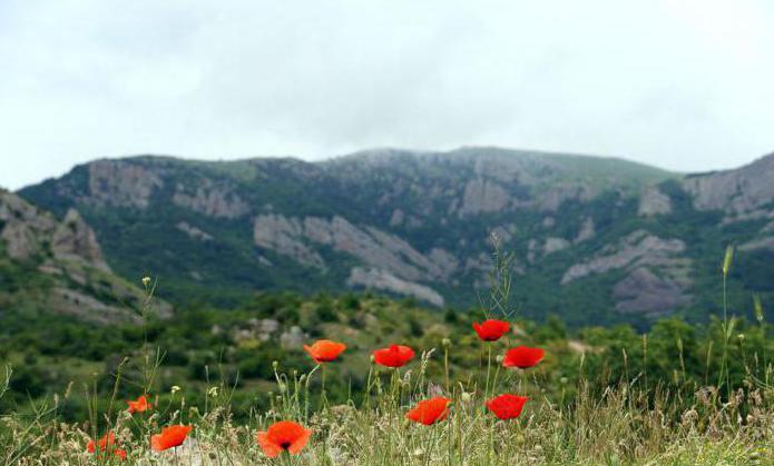 Kur yra Aluštos miestas