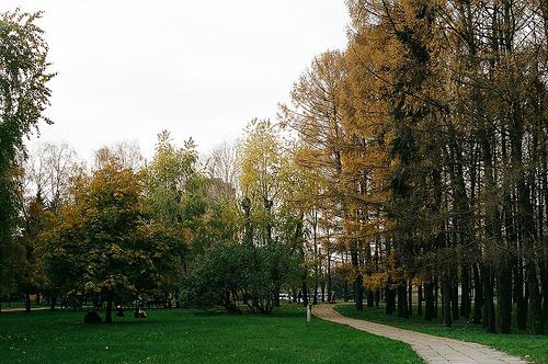 Parko upės stotis, Draugystės parkas - gražiausios poilsio vietos