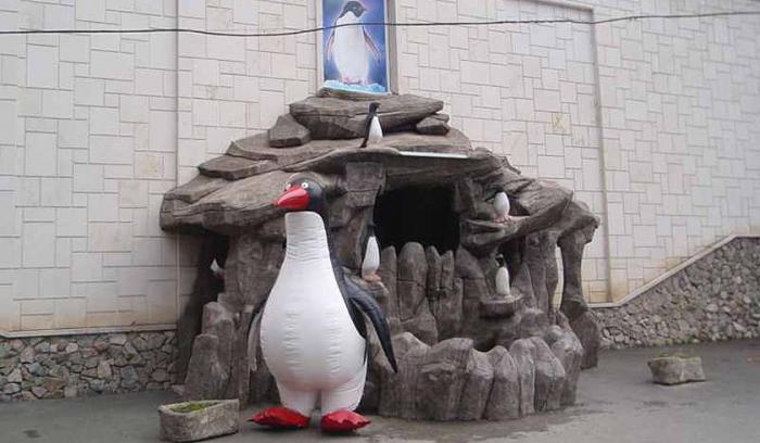 Pingvinai pietuose? Taip, kurorte yra Lazarevskio pingvinariumas!