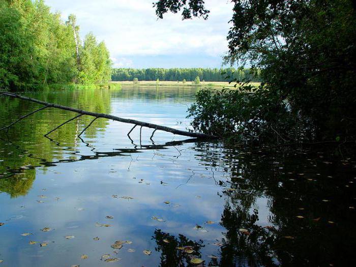 Viršutinio Rusijos rezervuaras 